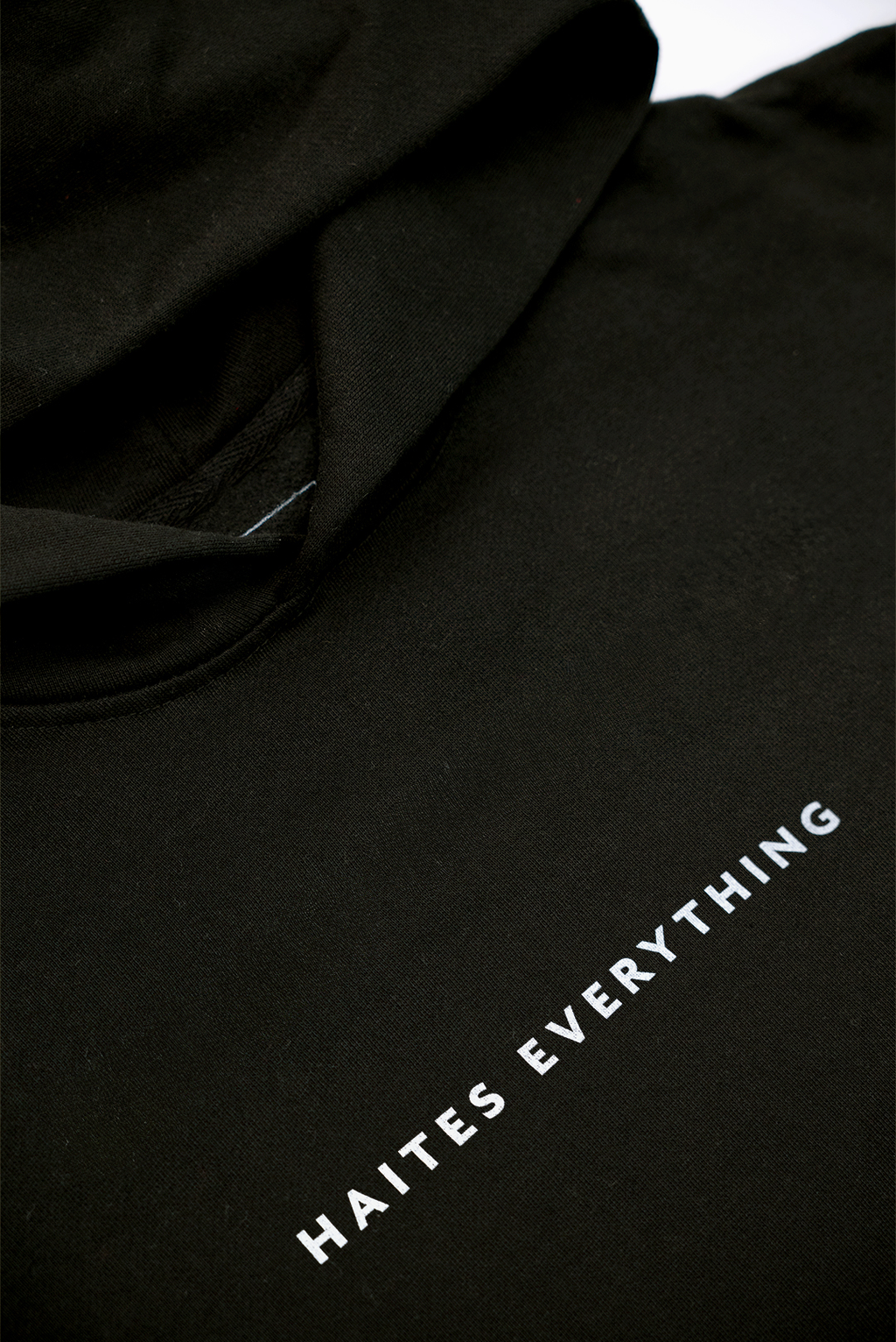 Haites Everything Hoodie